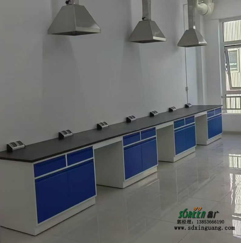 山東實(shí)驗(yàn)工作臺鋼木實(shí)驗(yàn)臺實(shí)驗(yàn)臺邊臺操作臺