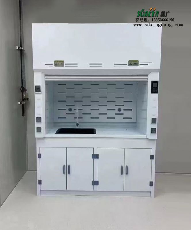 濰坊實驗室PP通風柜通風櫥廠家供應(yīng)