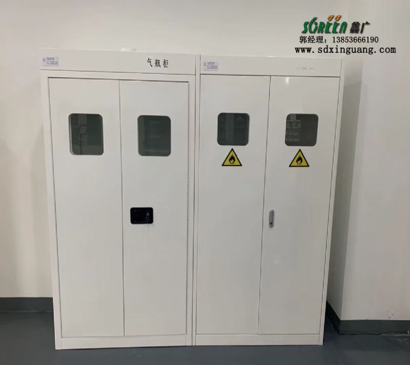 山東實驗臺廠家實驗室設(shè)備全鋼氣瓶柜供應