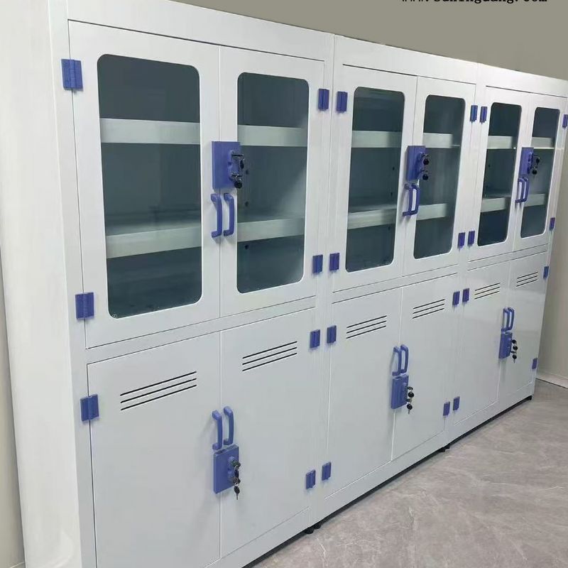 山東實(shí)驗(yàn)室器皿柜存儲(chǔ)柜PP試劑柜廠家供應(yīng)