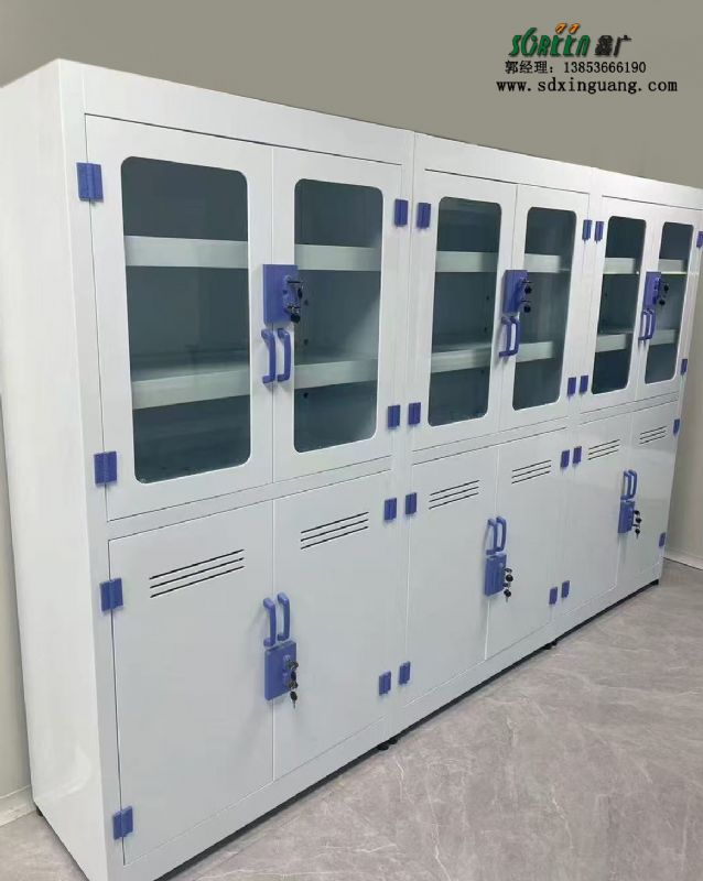 山東實驗室器皿柜存儲柜PP試劑柜廠家供應