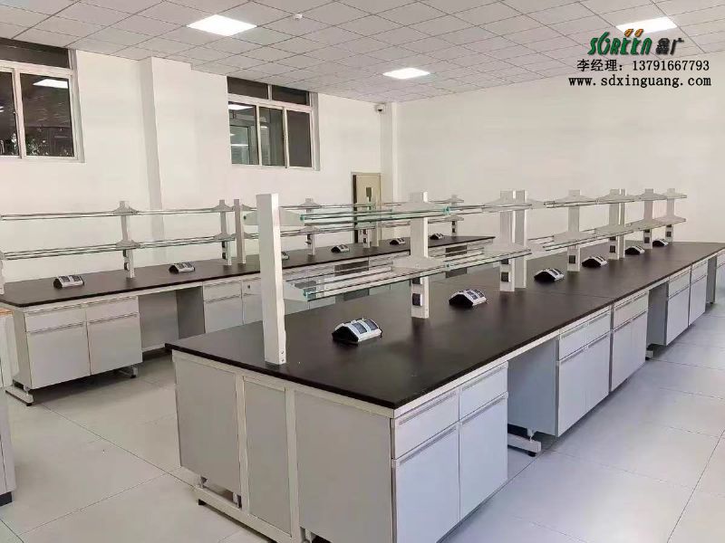山東實驗室設備全鋼實驗臺通風柜生產(chǎn)廠家