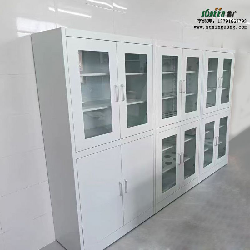 山東實(shí)驗(yàn)室設(shè)備全鋼試劑柜器皿柜廠家定制
