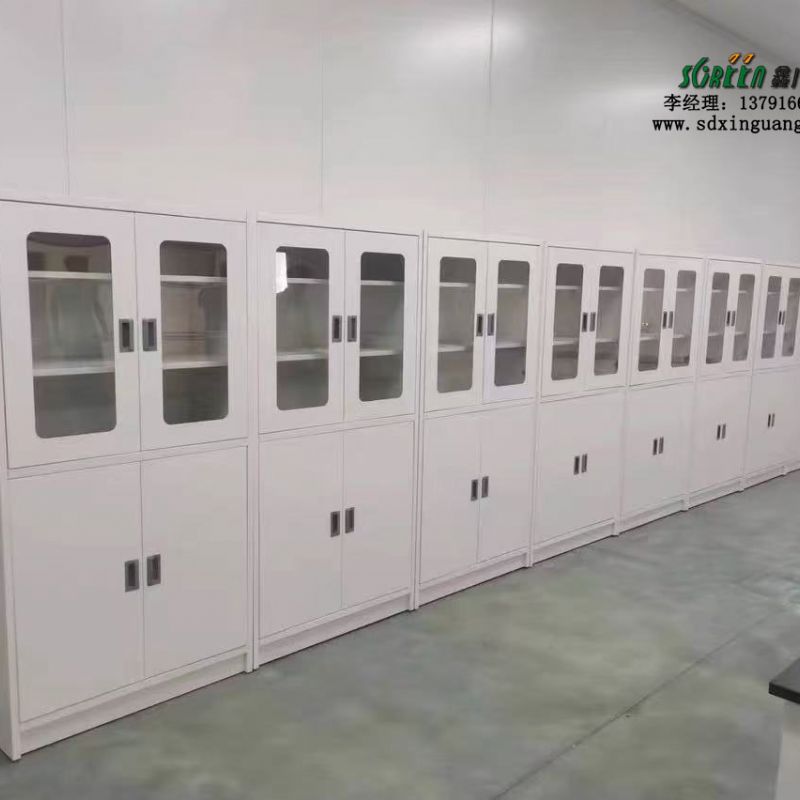 山東實(shí)驗(yàn)臺(tái)廠家全鋼試劑柜實(shí)驗(yàn)室器皿柜