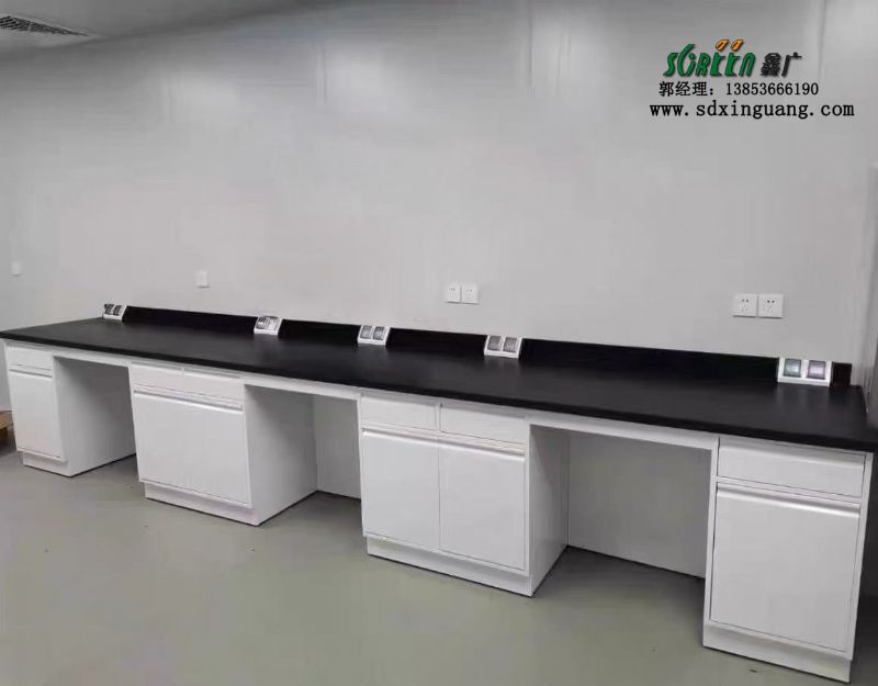 濰坊實(shí)驗(yàn)室家具濱州試驗(yàn)臺(tái)操作桌全鋼實(shí)驗(yàn)臺(tái)
