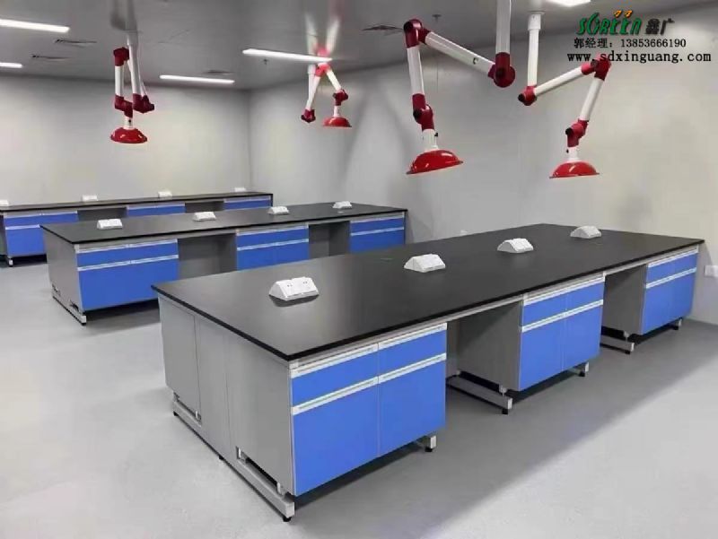 山東濱州試驗(yàn)臺(tái)實(shí)驗(yàn)臺(tái)通風(fēng)柜廠家定做